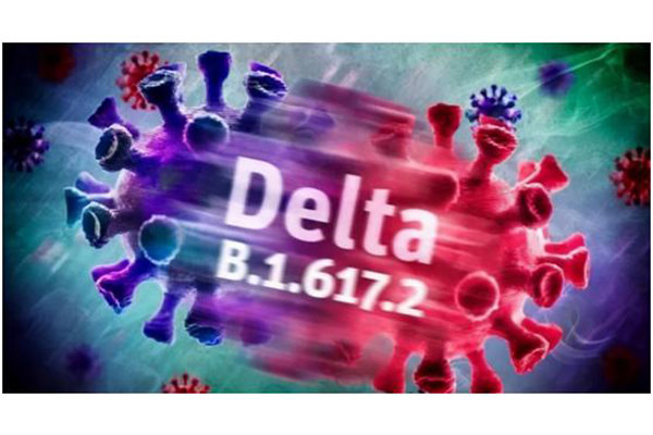 Is It Clear that the Delta Virus is Different from COVID-19?